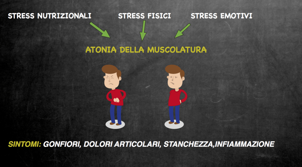Gonfiori e dolori addominali dallo &quot;stress&quot; alla disfunzione digestiva