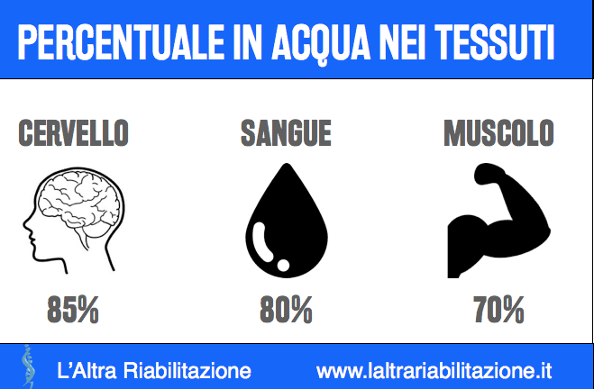 Acqua infografica