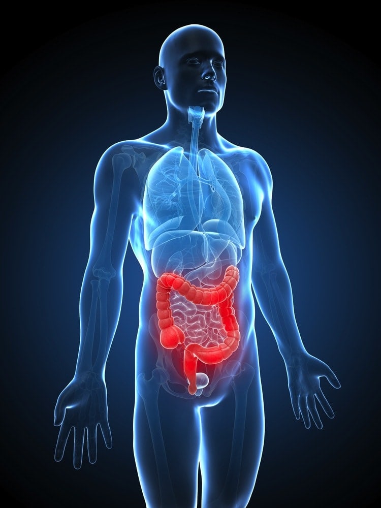Sono Guarito Dal Colon Irritabile Colon irritabile: sintomi e cura con L'Altra Riabilitazione