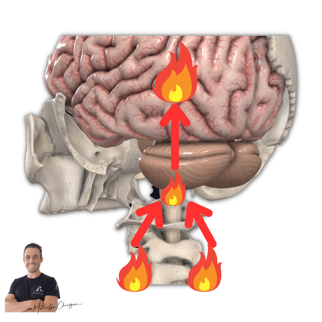 Sintomi neurologici cervicale