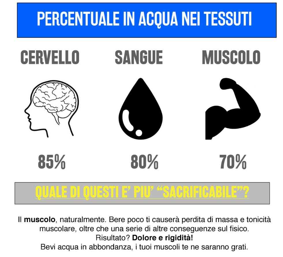 acqua nei tessuti