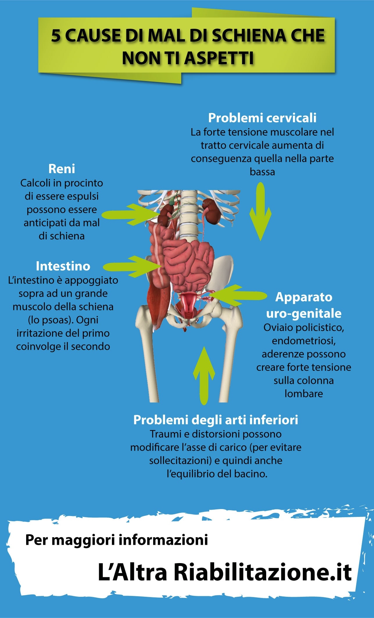 5 Cause Inusuali Di Mal Di Schiena Sulle Quali Puoi Riflettere L Altra Riabilitazione