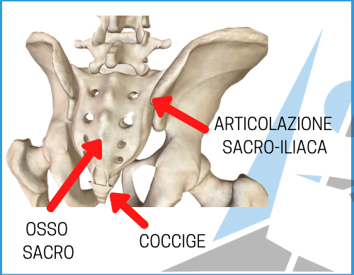 dolore osso sacro