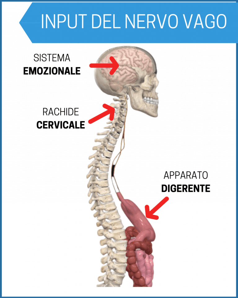 Disfunzione erettile