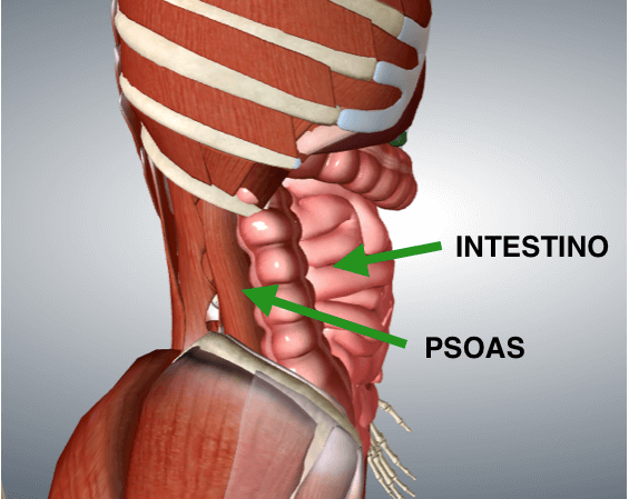 Colon irritabile e mal di schiena