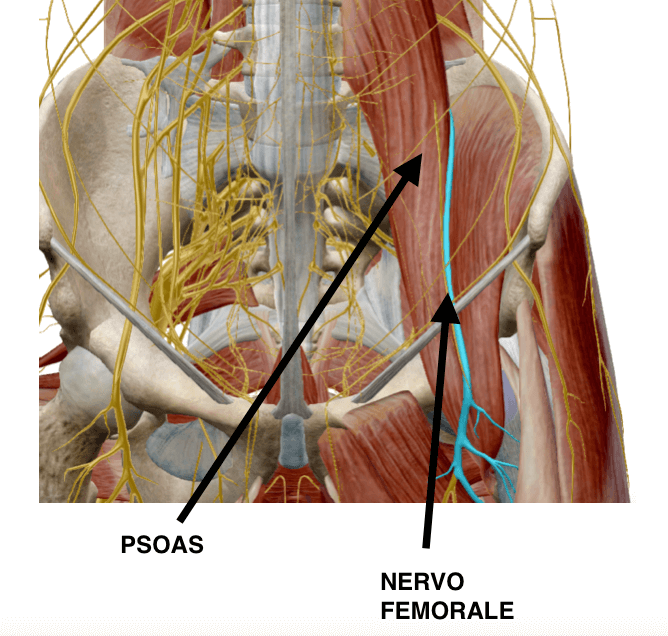 dolore al gluteo destro che non passa mi