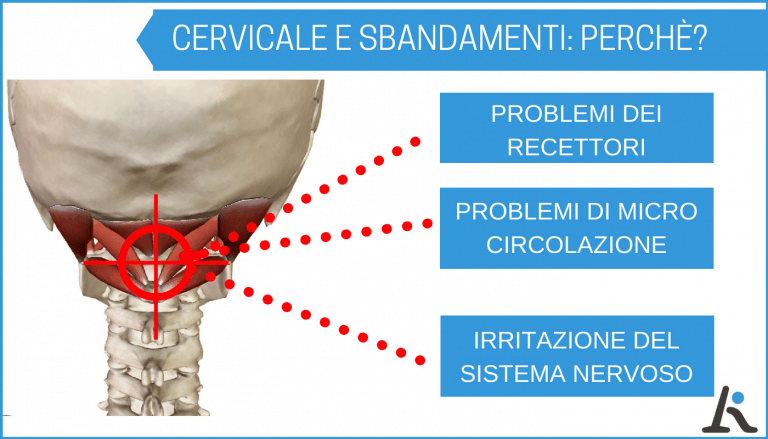 Le cause della cervicale e degli sbandamenti: recettori, microcircolazione e irritazione del sistema nervoso