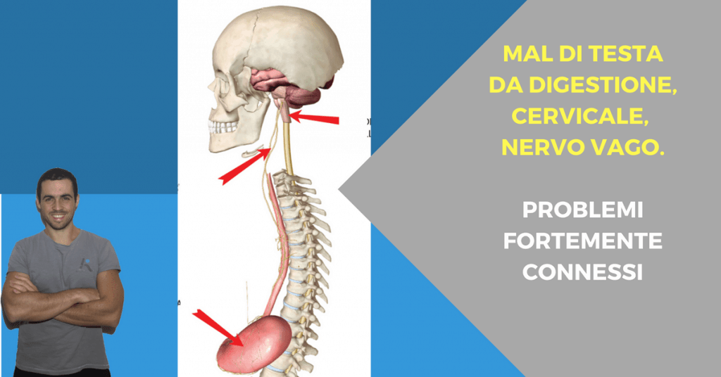 Mal di testa digestivo, cervicale e nervo vago: problemi fortemente connessi