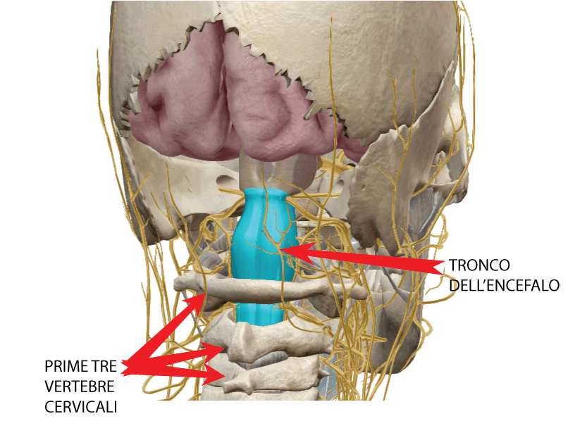 Cervicale e stress