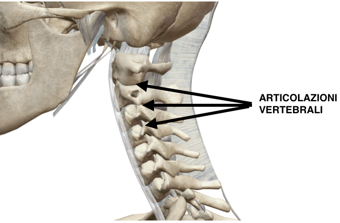 Sintomi prime vertebre cervicali