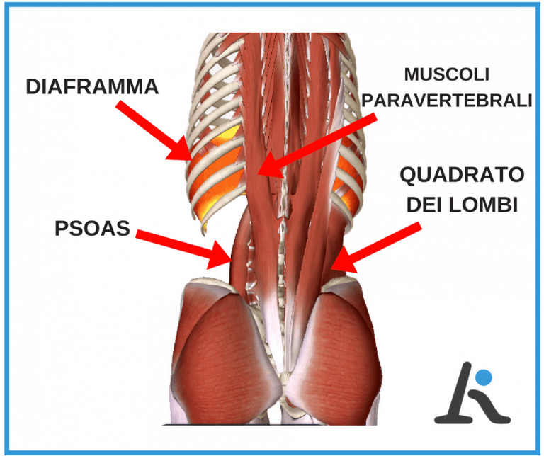  schiacciamento vertebrale