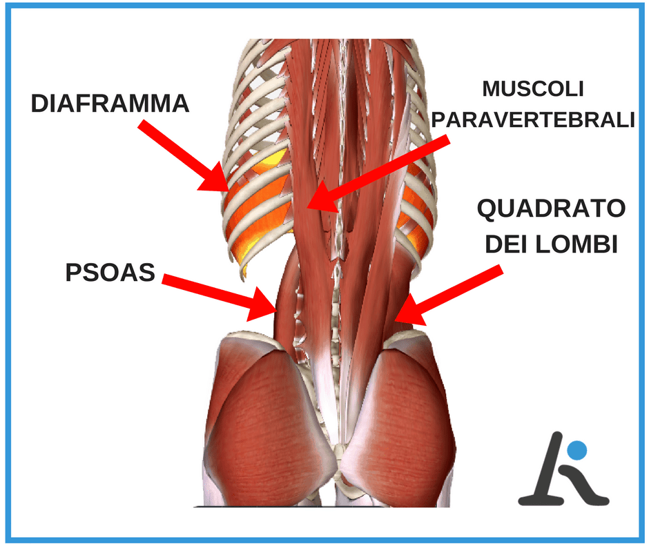 Contrattura lombare