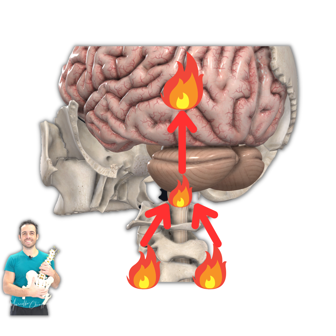 Cervicale e sintomi neurologici