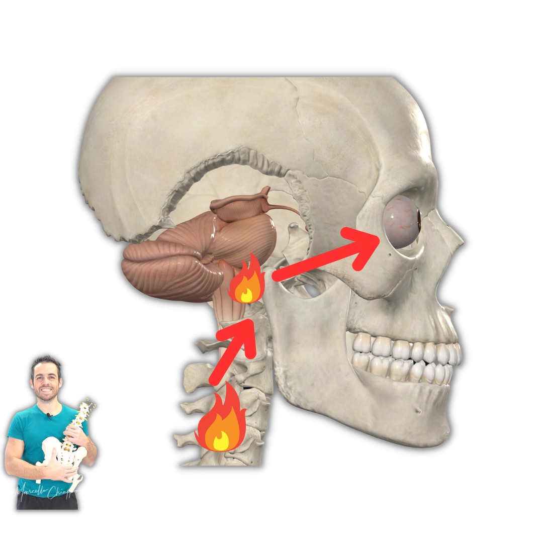 Cervicale e sintomi neurologici