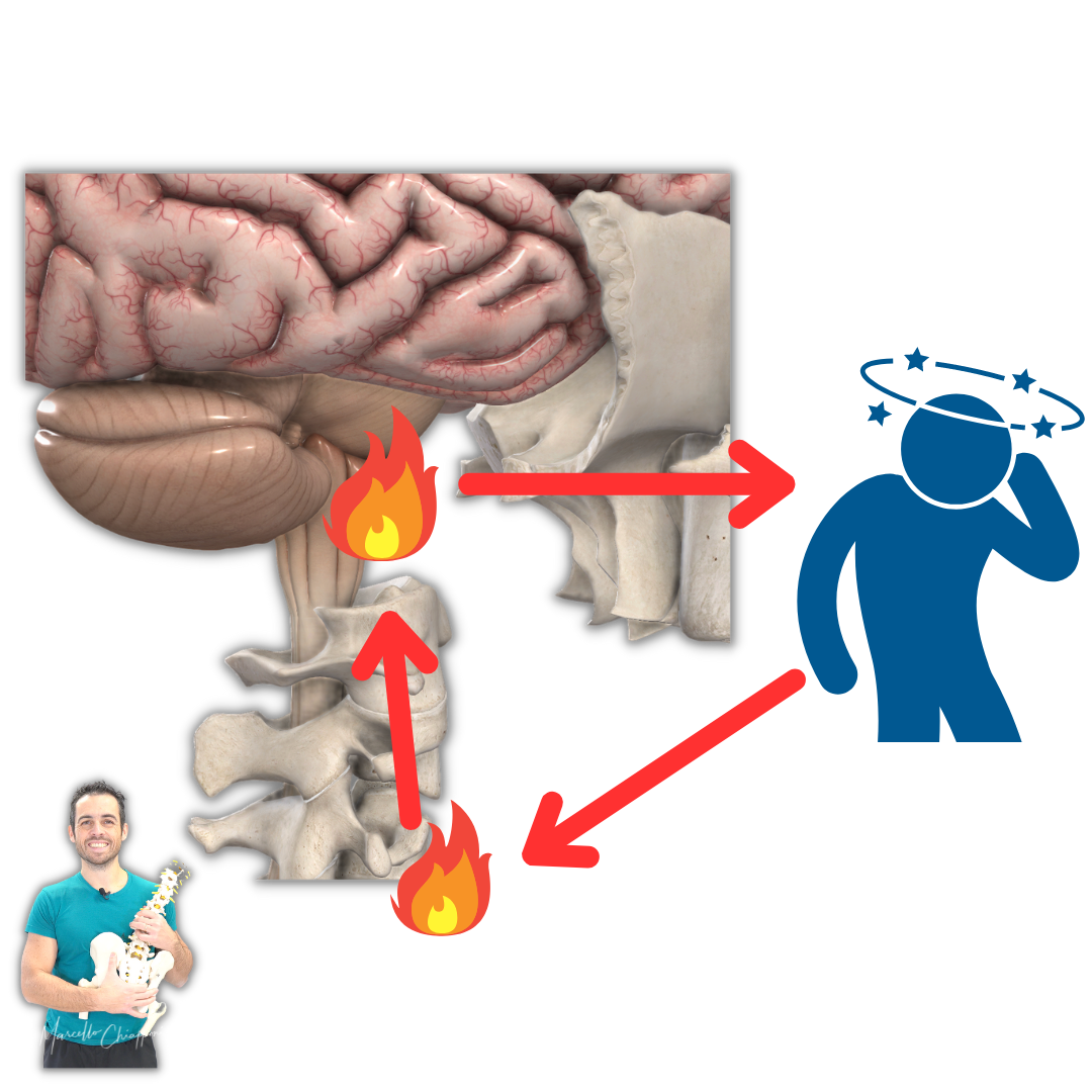 Cervicale e sintomi neurologici