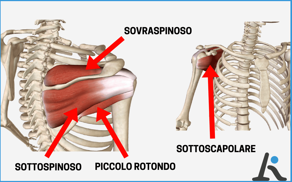 Tendinopatia Della Spalla Sovraspinato Sottospinato 3 Esercizi Per Un Sollievo Immediato L Altra Riabilitazione