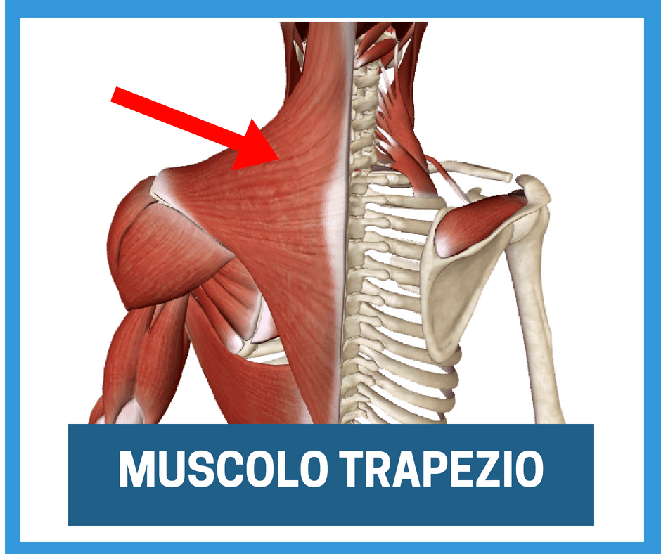 Tendinopatia Della Spalla Sovraspinato Sottospinato 3 Esercizi Per Un Sollievo Immediato L Altra Riabilitazione