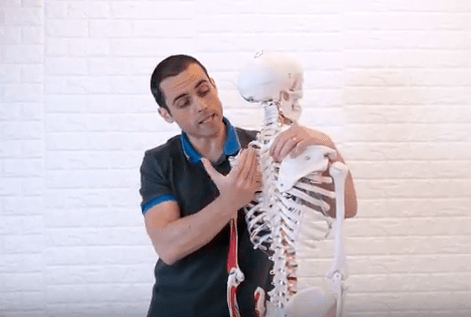 Marcello spiega l'anatomia del collo