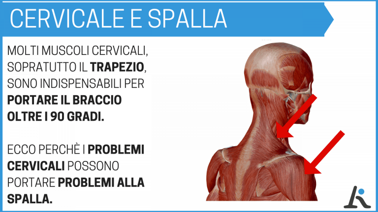 artralgie spalla