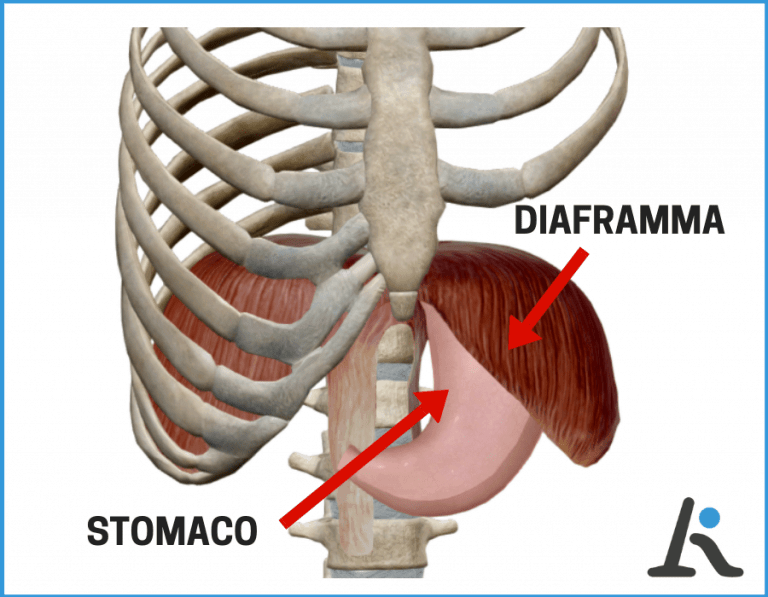 Cervicale e mal di stomaco