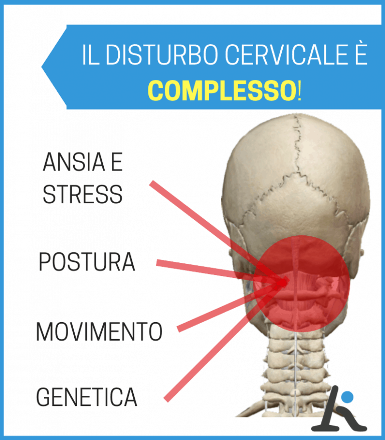 trapezi contratti