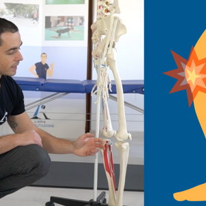 Videocorso Ginocchio promo e fitness sicuro base