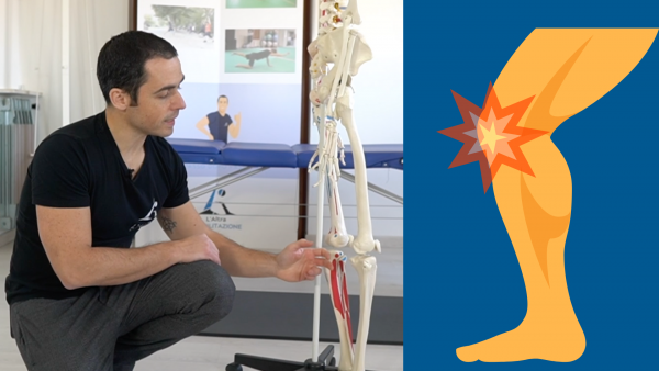 Videocorso Ginocchio premium e fitness sicuro base