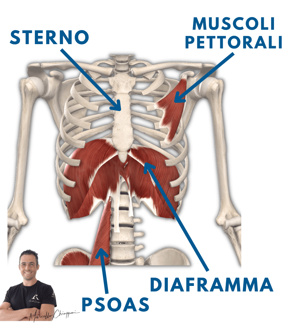 dolore allo sterno