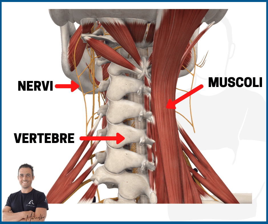Nervi del collo infiammati