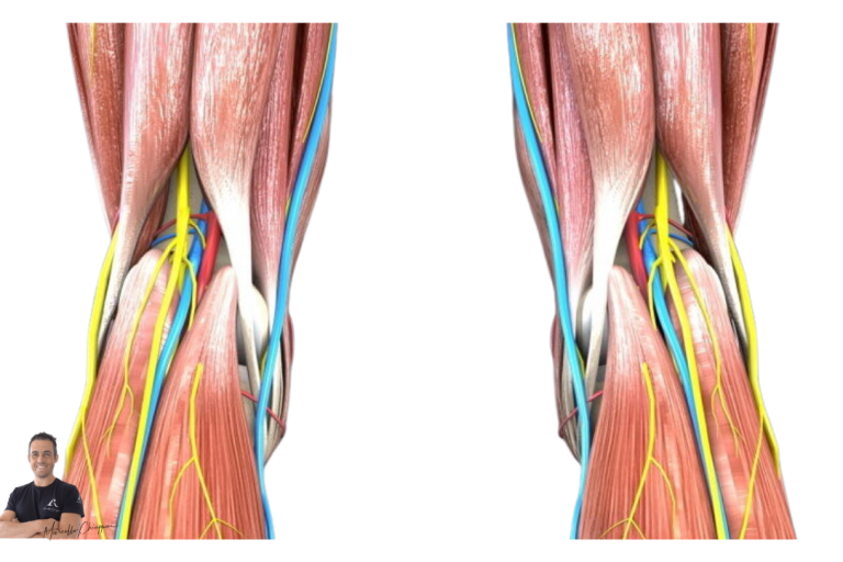 Elastico Nastro Kinesiologico 5M Elastico Sport Fasciatura Del Nastro Del Ginocchio Protector Autoadesiva Cotone Hansaplast Bandage Kinesiologia Muscolare Nastro For La Caviglia Del Piede(Gold - Foto 9