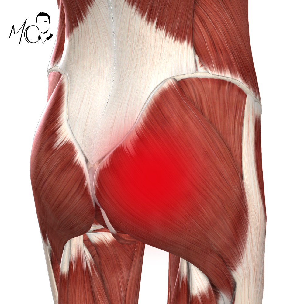 dolore al gluteo