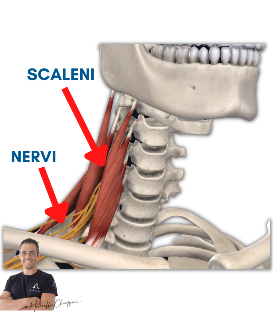 Cervicale e formicolio alle mani