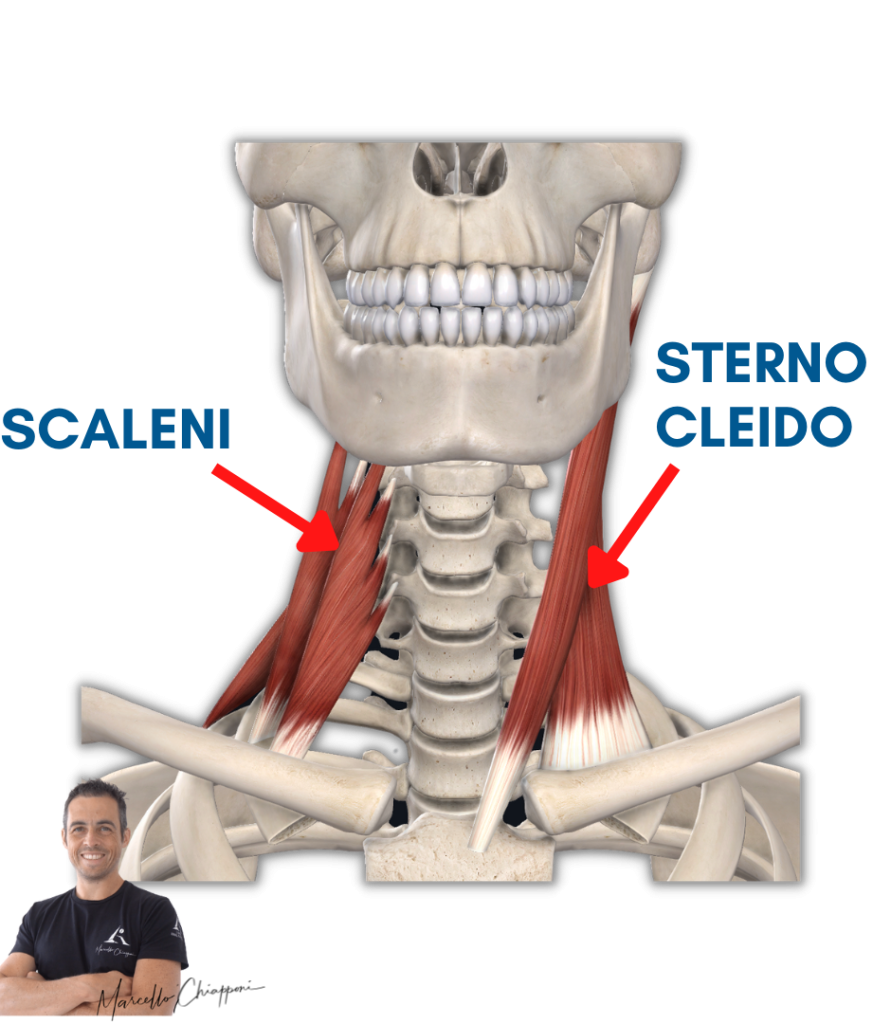 Cervicale e gola