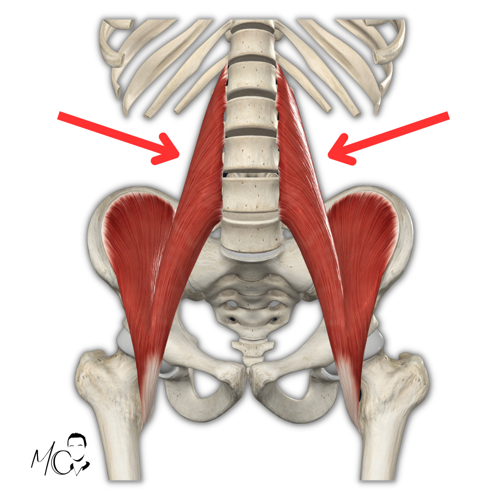 Psoas e dolore all'inguine