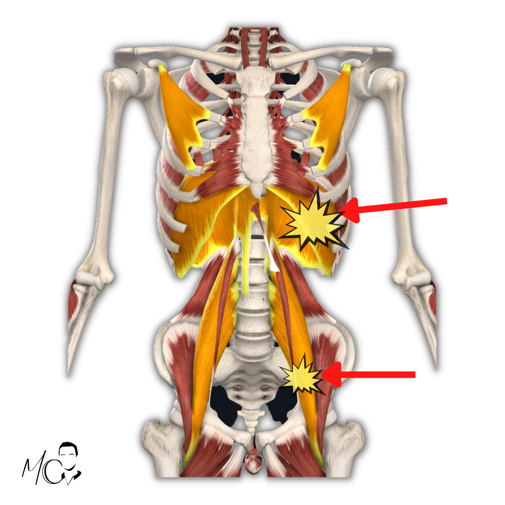 psoas e diaframma