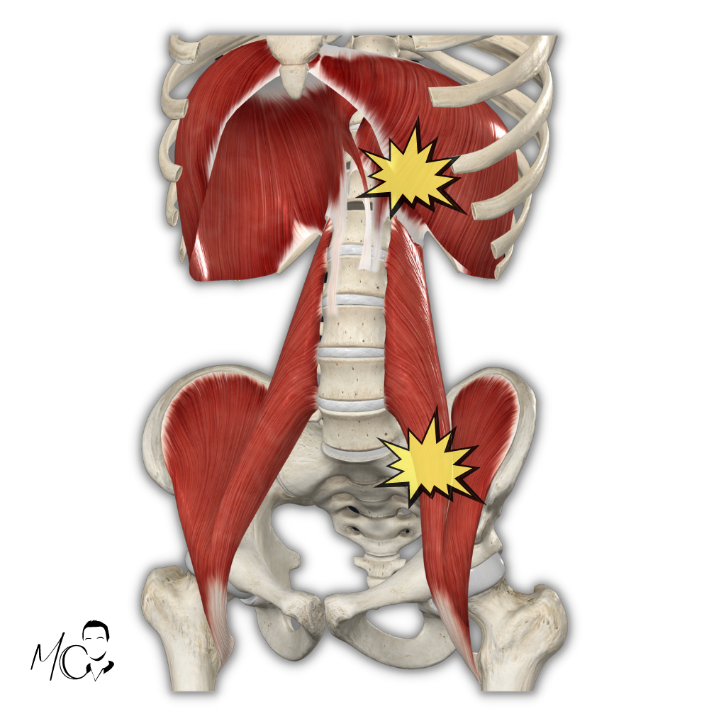 psoas e diaframma