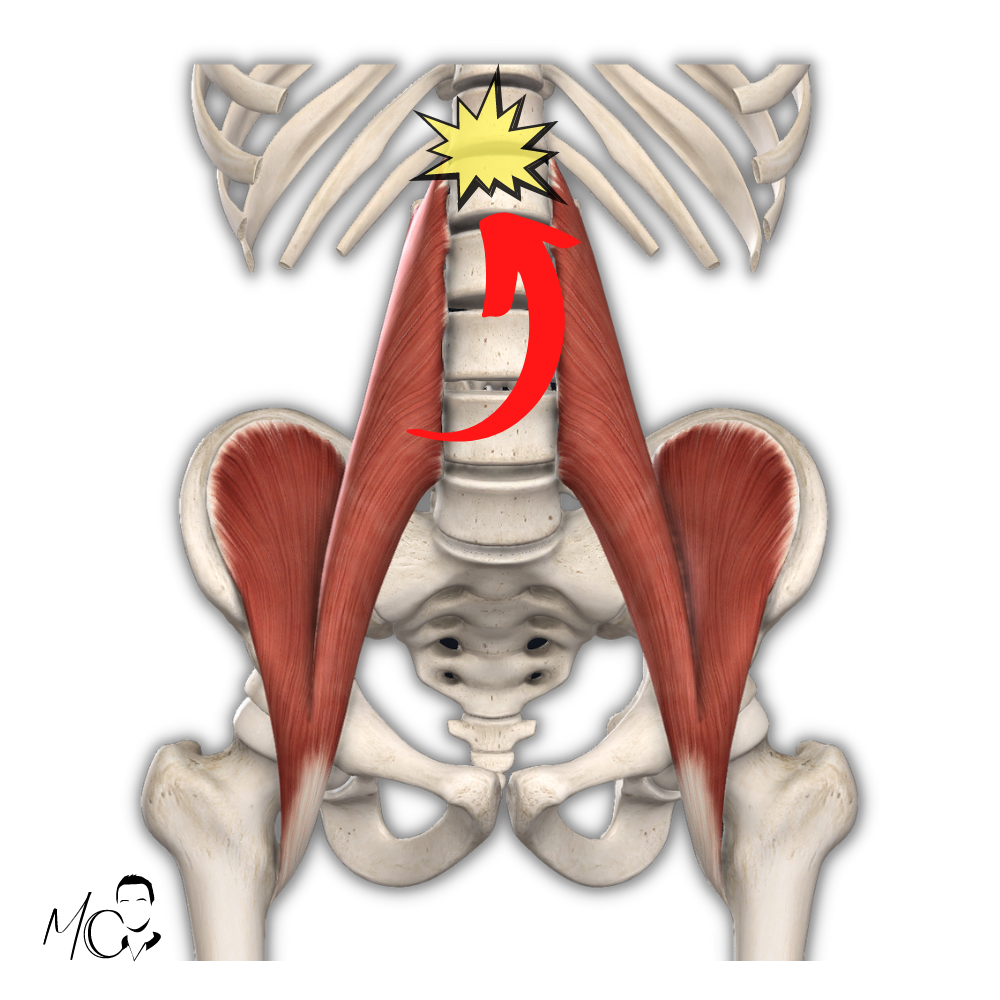 Psoas e catena posteriore