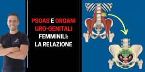 psoas e organi uro-genitali femminili