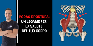 psoas e postura