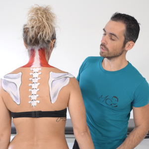 Seminario "SOS Cervicale" - EVENTO DAL VIVO
