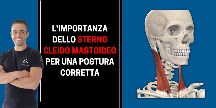 Sternocleidomastoideo: la sua importanza per una postura corretta