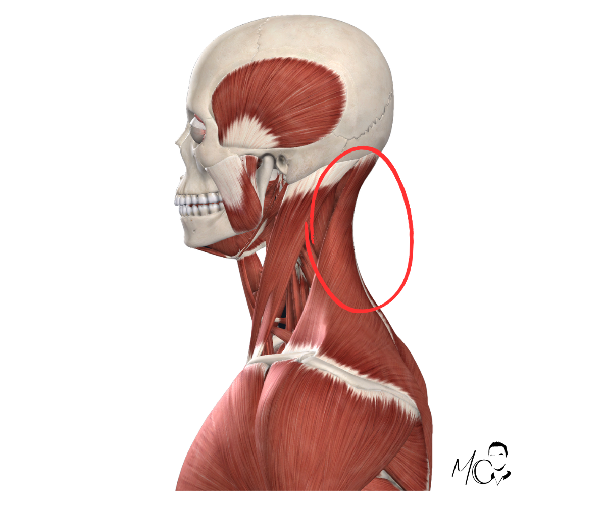 attività aerobica e cervicale