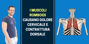 I muscoli romboidi causano dolore cervicale e contrattura dorsale