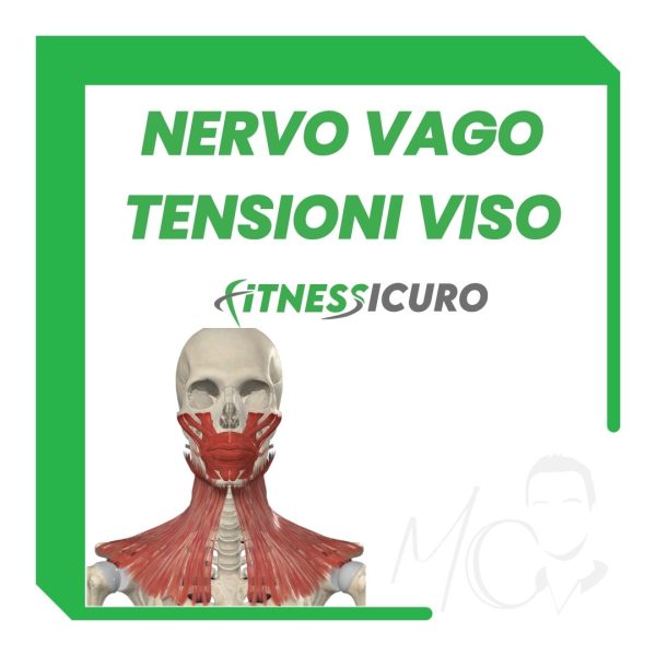Nervo Vago e Tensioni del Viso 2025 + CLUB30