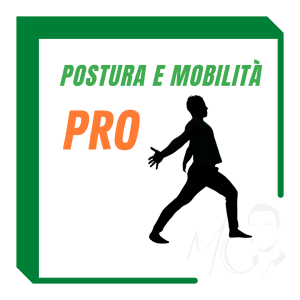 Formazione professionisti mobilità e postura (premium)